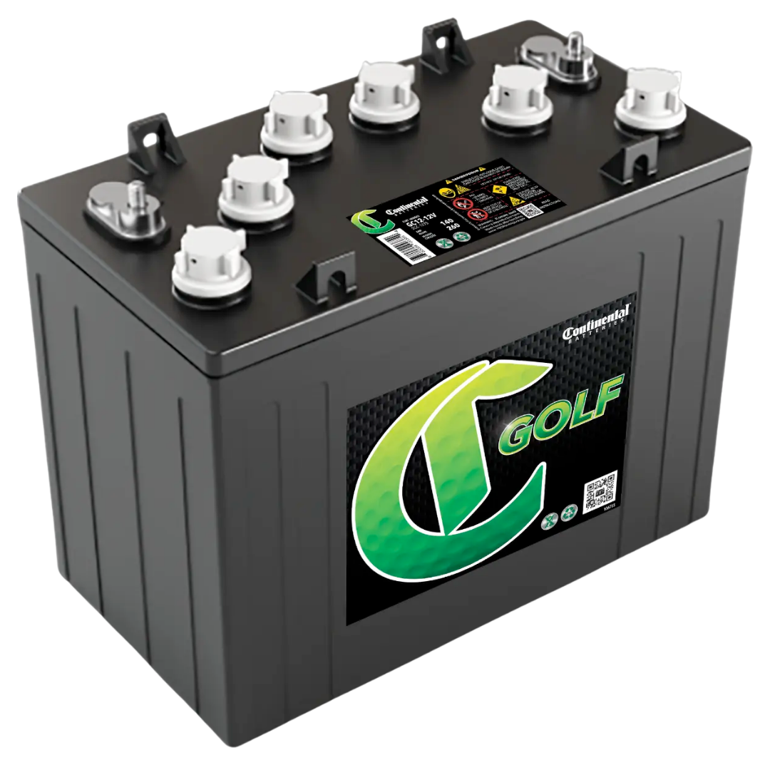 4 × 12V Batteries Continental batteries for 48V System