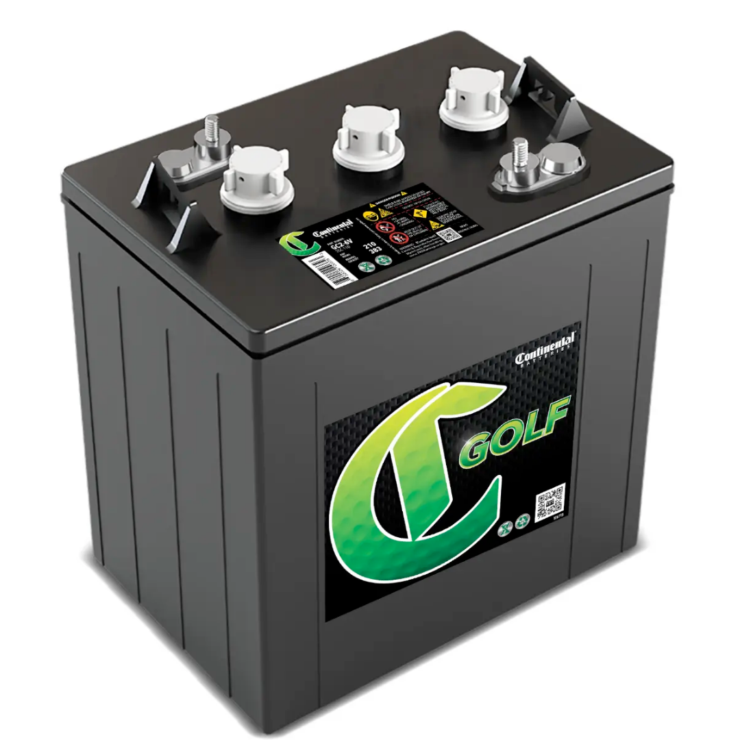 6 × 6V Batteries Continental batteries for 36V System