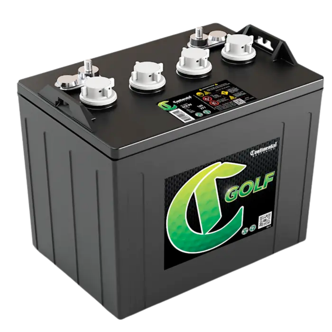 6 × 8V Batteries Continental batteries for 48V System